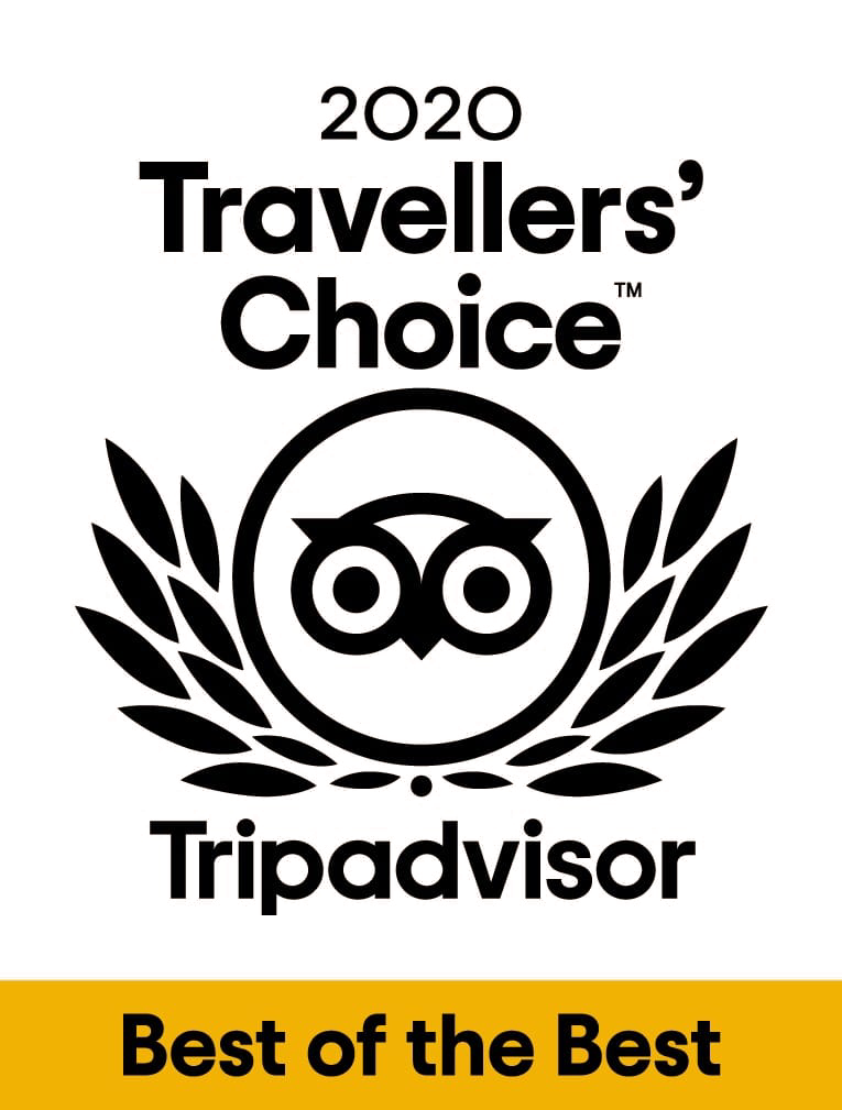 Best of the Best 2020